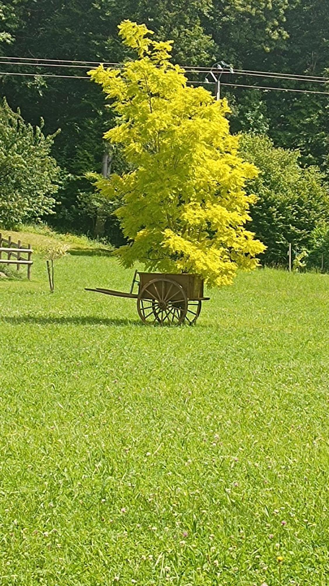 La Petite Maison Dans La Prairie Ecommoy Eksteriør bilde